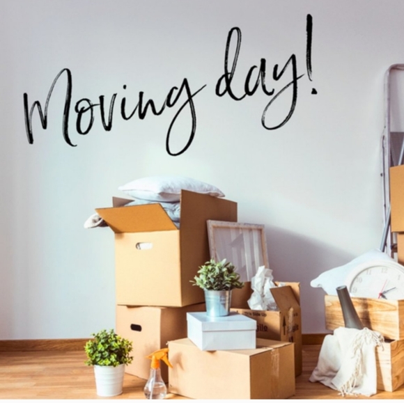 💫HOST PICK💫 COACH Handbag with Silky Storage Cover and gold accents - Picture 8 of 8